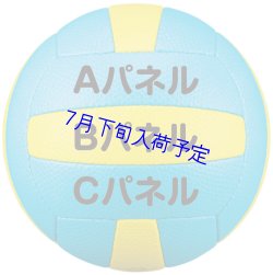 画像2: ミカサ ドッジボール《プリント対応》3号公式試合球
