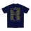 画像2: 第35回夏の全国小学生ドッジボール選手権全国大会 出場チーム名入Tシャツ (2)