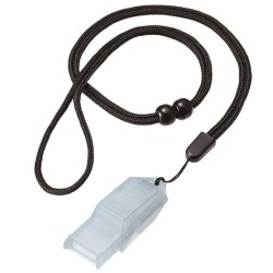 画像6: ドルフィン Bu