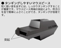 画像7: ドルフィン Bu