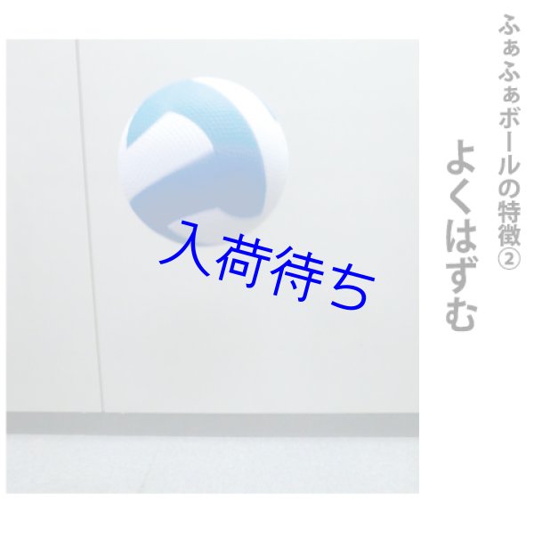 画像6: ふぁふぁスマイルドッジ2号