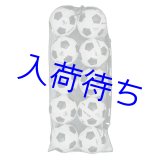 画像: MIKASA メッシュボールバッグ巾着型 大