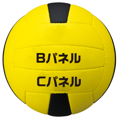 ミカサ ドッジボール プリント対応 3号公式試合球 Dodgefan ドッジファン