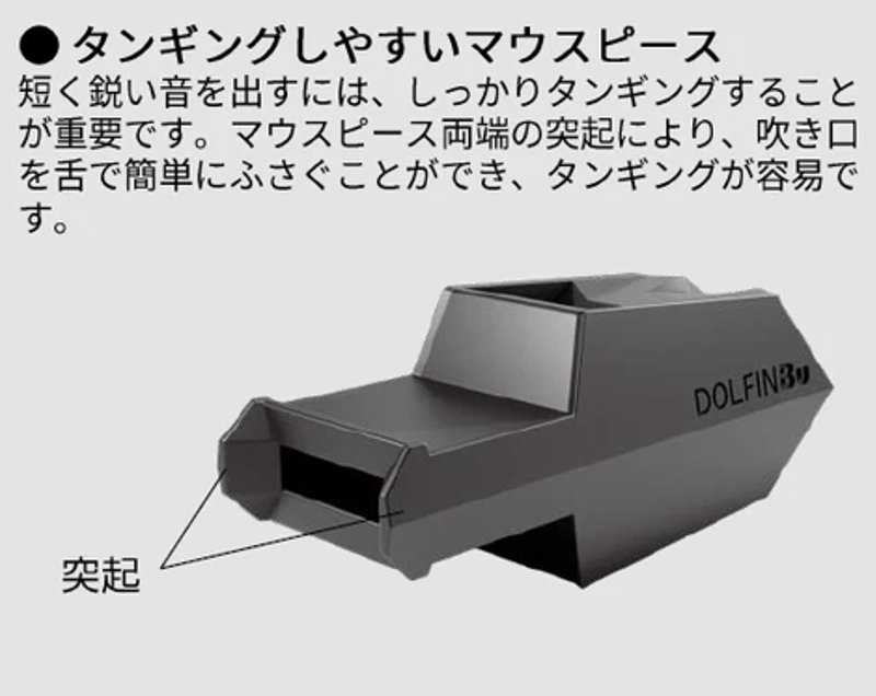 画像7: ドルフィン Bu